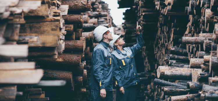 Tips to Keep You Safe at the Logging Job Site